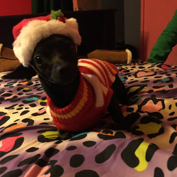 Meet your Posher, Destiny - Picture 1 of 1